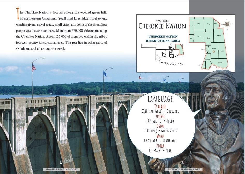 The Reluctant Storyteller - Image 12