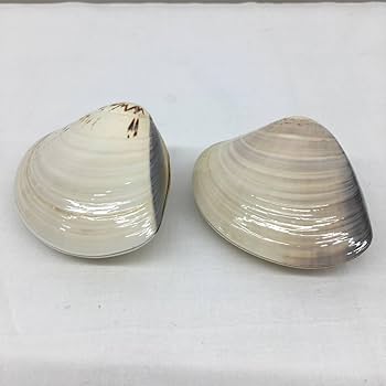 Amazon.co.jp: T2689H共箱入り 蛤香合 桜 梅貝合わせ 木箱