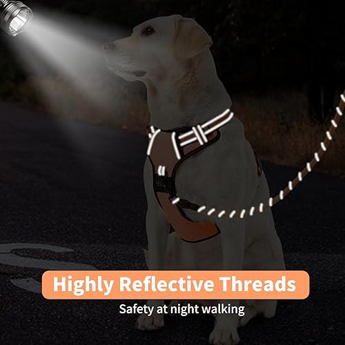 Miniatura 6 de NESTROAD Correa resistente para perro con 2 asas acolchadas, correa de cuerda de alta reflexión con soporte para bolsa de excrementos para perros