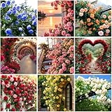 Mixrug 1005+ Mixed Hybrid Rambling Rose Seeds for Planting Outdoors-Rare Climbing Rose Seeds Plant -Roses Bushes Seed for Fence and Archway, Repeat Flowering & Fragrant Romantic Gardens Outdoors