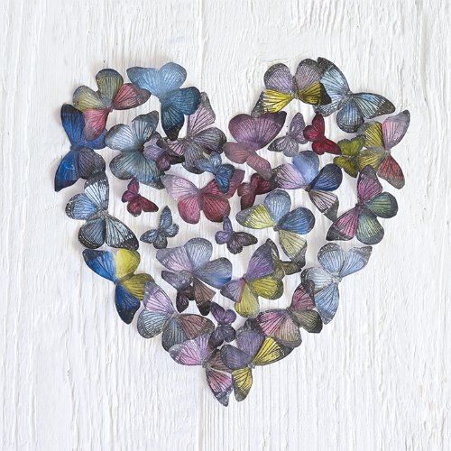 Toile imprimée Butterfly Heart Howard Shooter cadeau idéal 40x40 cm