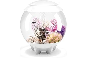 biOrb Halo 15 4 Gallon Acrylic Aquarium: Illuminate Your Desktop with Dazzling LED Lights