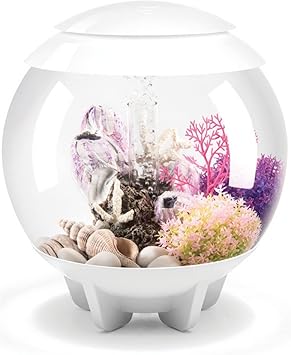 Amazon Biorb バイオーブハロ15l No 738 水槽 Uk発おしゃれアクアリウムセット ホワイト Biorb 水槽 通販 Amazon Biorb バイオーブハロ15l No 738 水槽 Uk発おしゃれアクアリウムセット ホワイト Biorb 水槽 通販