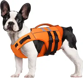 Kuoser Colete salva-vidas para cães pequenos, colete salva-vidas para cachorro de alta flutuação, colete refletivo de natação para filhotes com alça de resgate, laranja PP