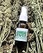 from The Field | Catnip Spray Rejuvenator | Potent Catnip Essential Oil for Cats | Revives Toys & Scratching Posts | Mess-Free & All-Natural | USA-Made, Safe & Non-Toxic | 1 oz Bottle
