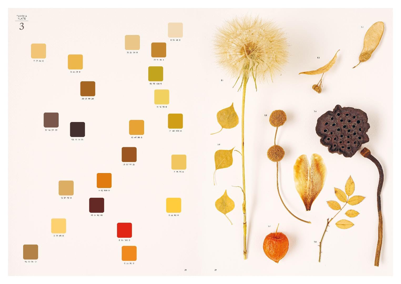 Chromatic herbarium