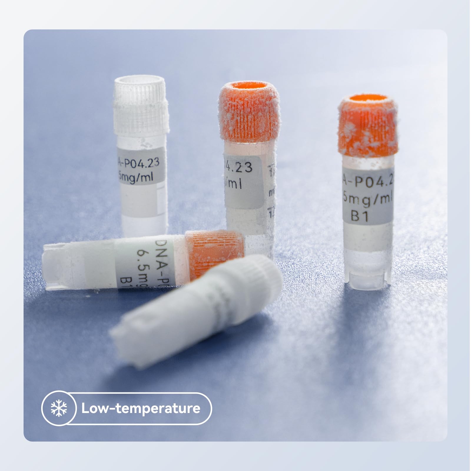 Ruban D'étiquetage Compatible NIIMBOT M2, Rubans De Recharge De