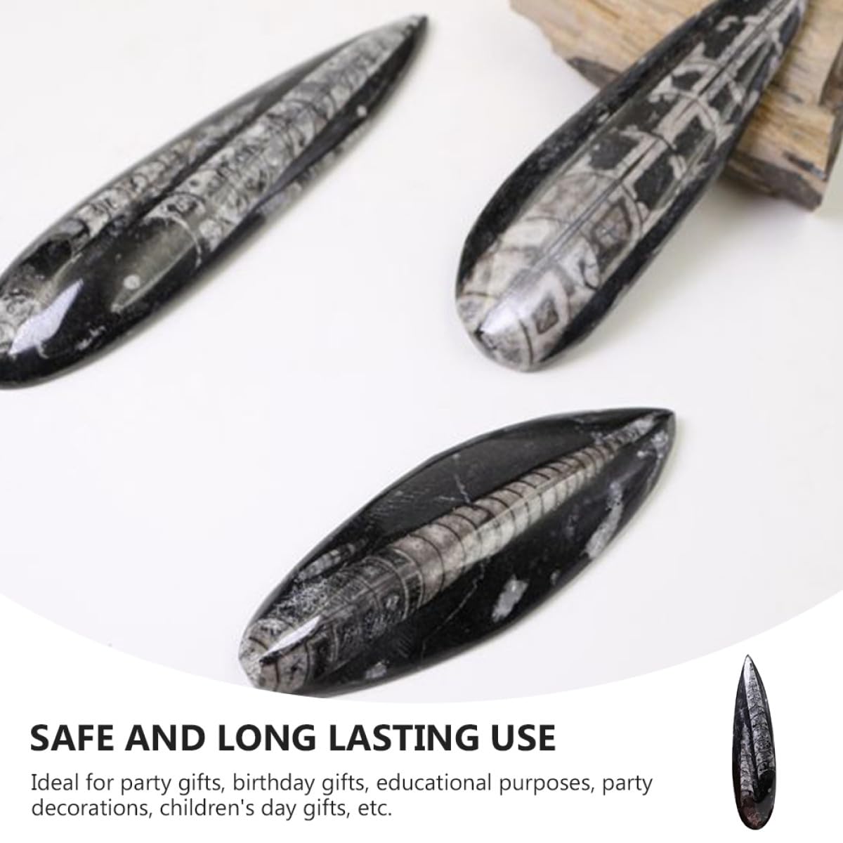 Cabilock Juguete Educativo Fósil de Ortoceras Negro, Espécimen Mineral para Desarrollar Creatividad Función Decorativa, Adecuado para Laboratorio Científico y Día del Niño