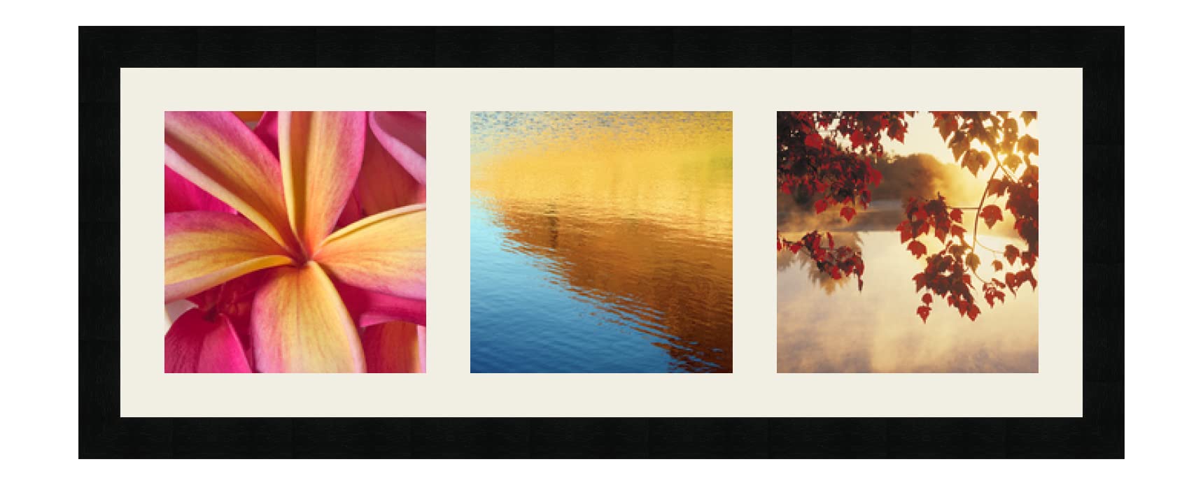 Cadre photo mural 68x25 cm noir avec passe-partout pour valoriser vos triptyques