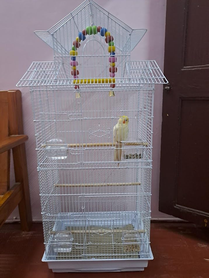 Bird cage for Budgies,Finches,Love Birds,with Cuttlefish BoneHolder,Cuttlefish Bone,3perch,4 Cups (47.5x36x104 cms)-Colors May Vary - Without Accessories 4