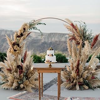 Large Circle Wedding Arch Round Garden Archway Arbors Stand 84" h White Modern Contemporary Metal Finish Oversized
