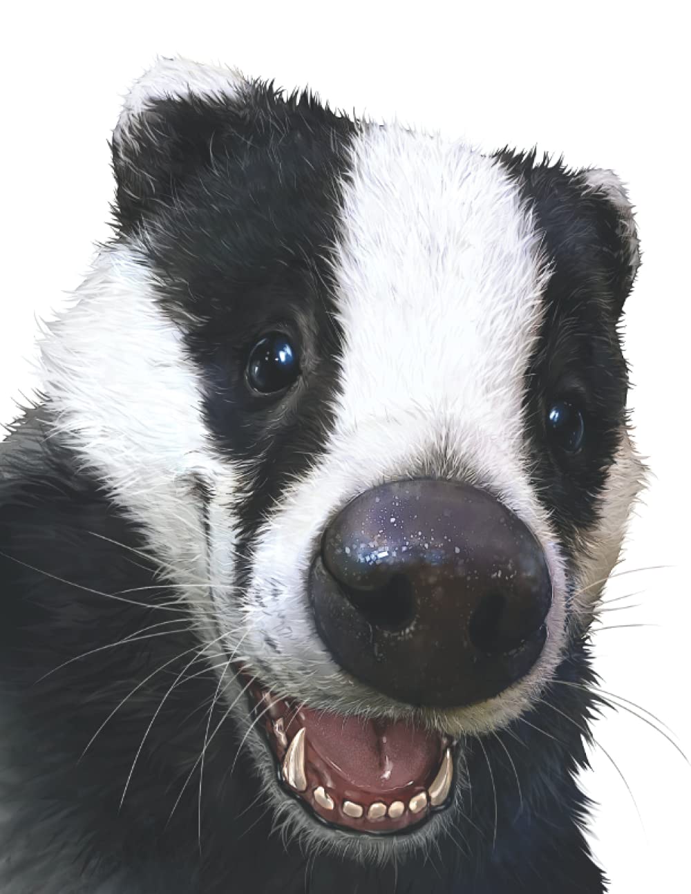 Badger Journal: 8.5 x 11 - Line Notebook and Journal for Kids