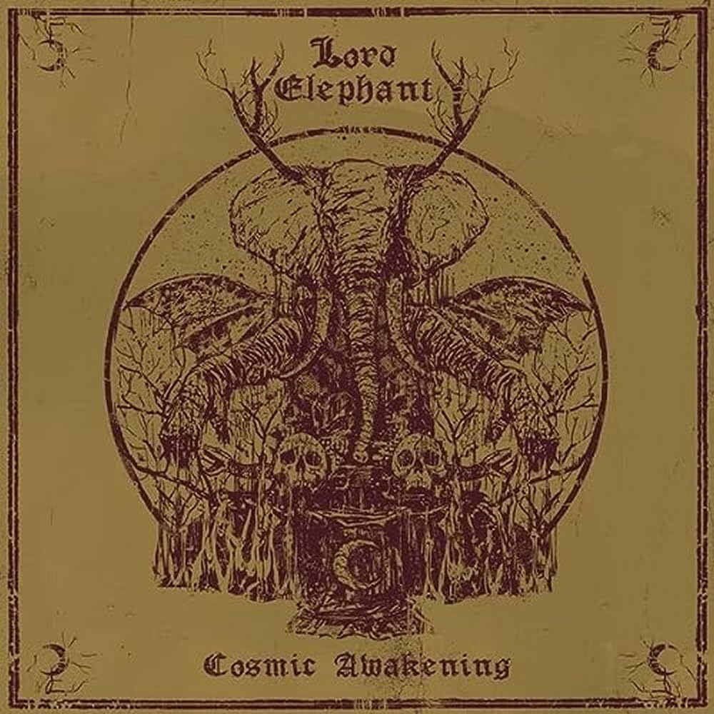 Cosmic Awakening
