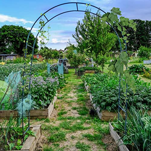Pergola extérieure de mariage en métal et arche de fête