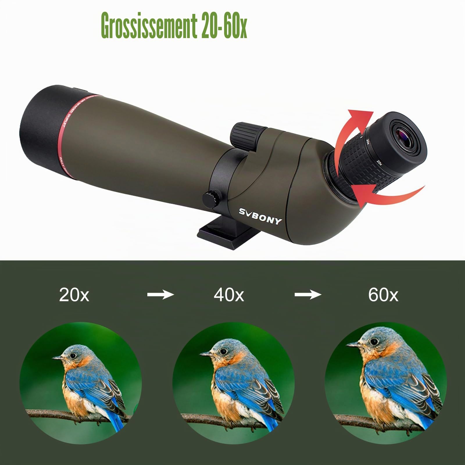 Svbony SV13 20-60X80 Longue Vue, HD Porro Prisme FMC Optique Étanche Monoculaire Longue Vue pour Tir Sportif, l'Observation des Oiseaux (avec Grand trépied)