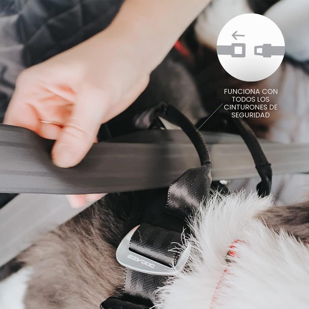EzyDog Arnes Coche Perro Homologado - Cinturón De Seguridad para Perros - Mascotas Perros Accesorios, Multifunción, Ajustable (M, Negro)