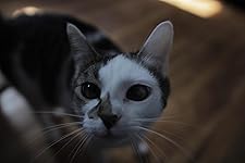 Review Image by Rockyb Rockyb