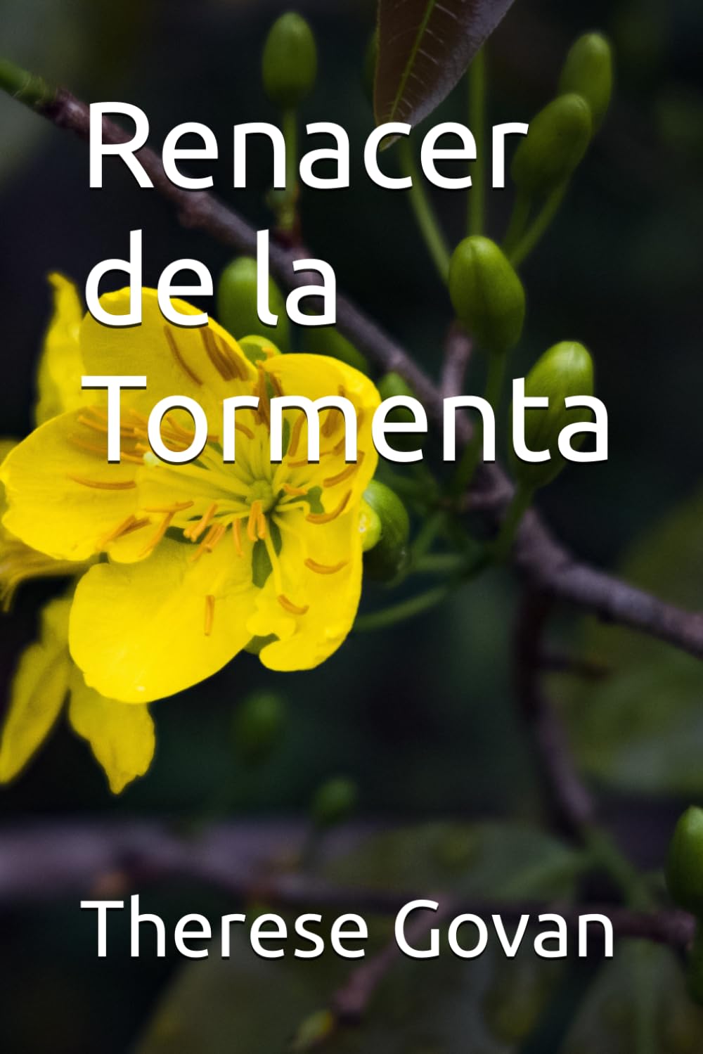 Renacer de la Tormenta
