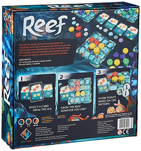 Reef miniatura 2