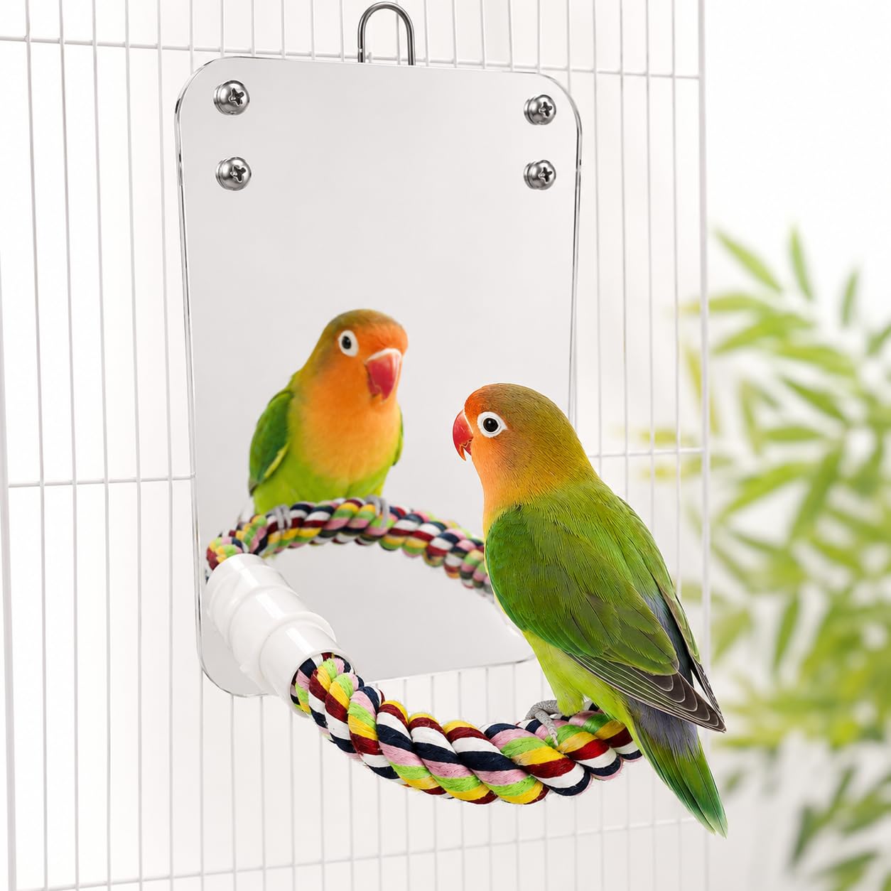 17 * 12CM Bird Mirror with Rope Perch Swing Toy, Comfy Bird Perch Stand for Greys, Amazons, Parakeets, Cockatiels, Conures, Lovebirds, Finches and Canaries-image-29