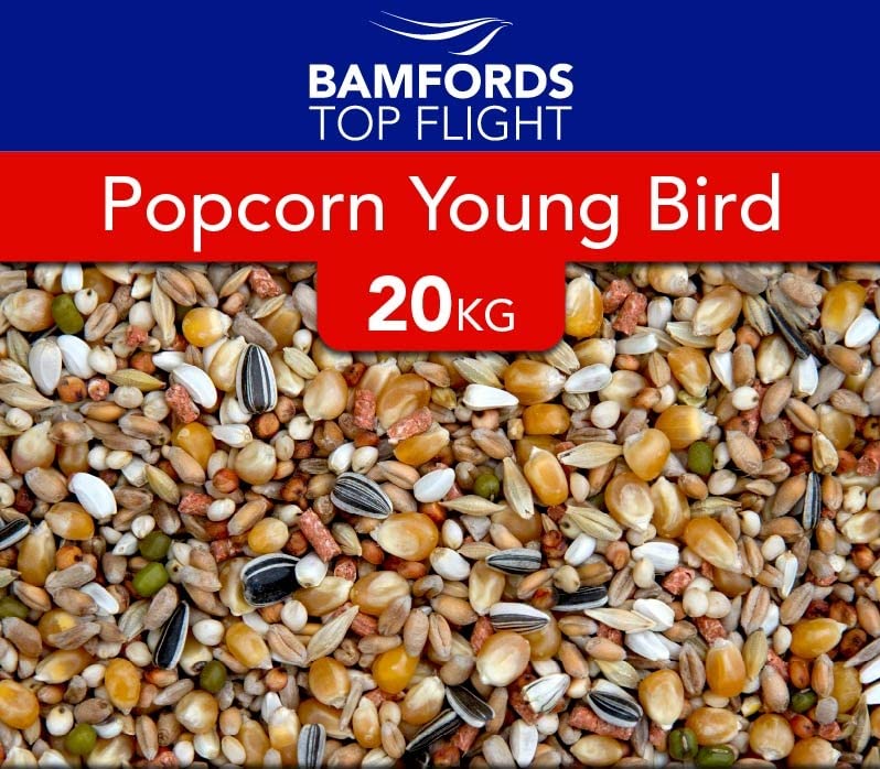Top Flight Popcorn Young Bird Pigeon Food