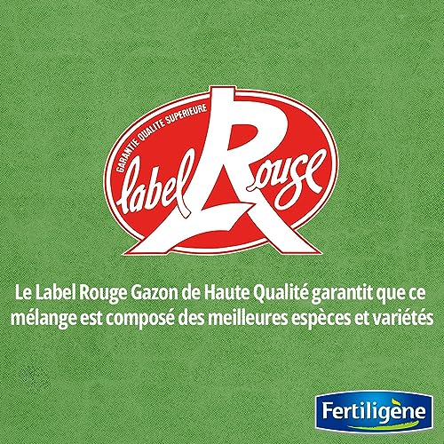 Semences gazon super résistant à levée rapide en 1 semaine pour 200m² - 6