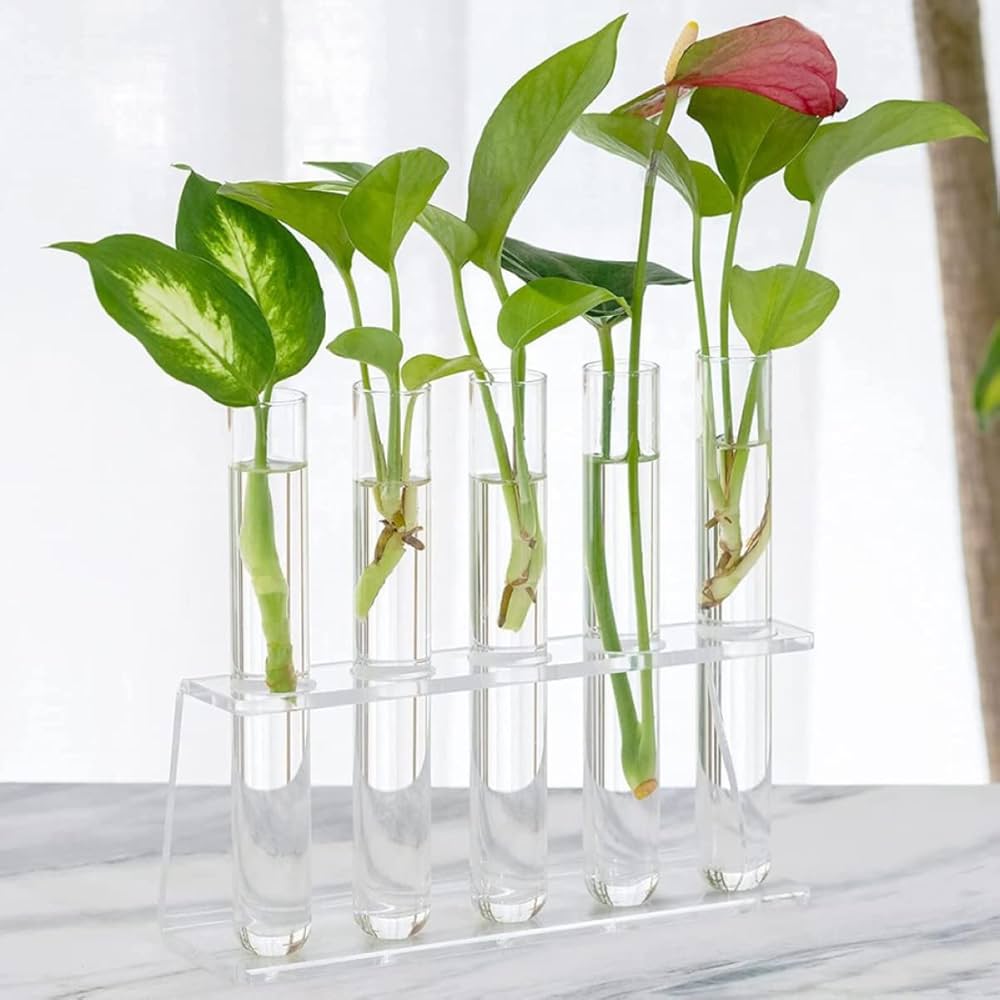 ガラス製試験管12本セット【スタンド付】 小さな試験管（5本セット）ガラス製 : アンドナチュラル - 通販