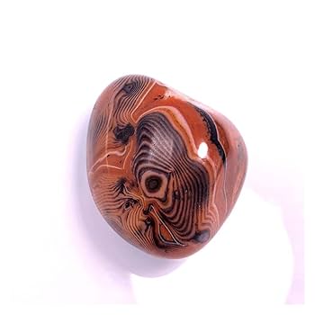 「珍しい石鏃（せきぞく）」です。 新作「魚石ノ水石」 | 彩元堂：増永元 official site