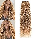 XCCOCO Honey Blonde Curly Hair One Bundle 16 Pre Colored 27# Dark Blonde Color Brazilain Kinkys...