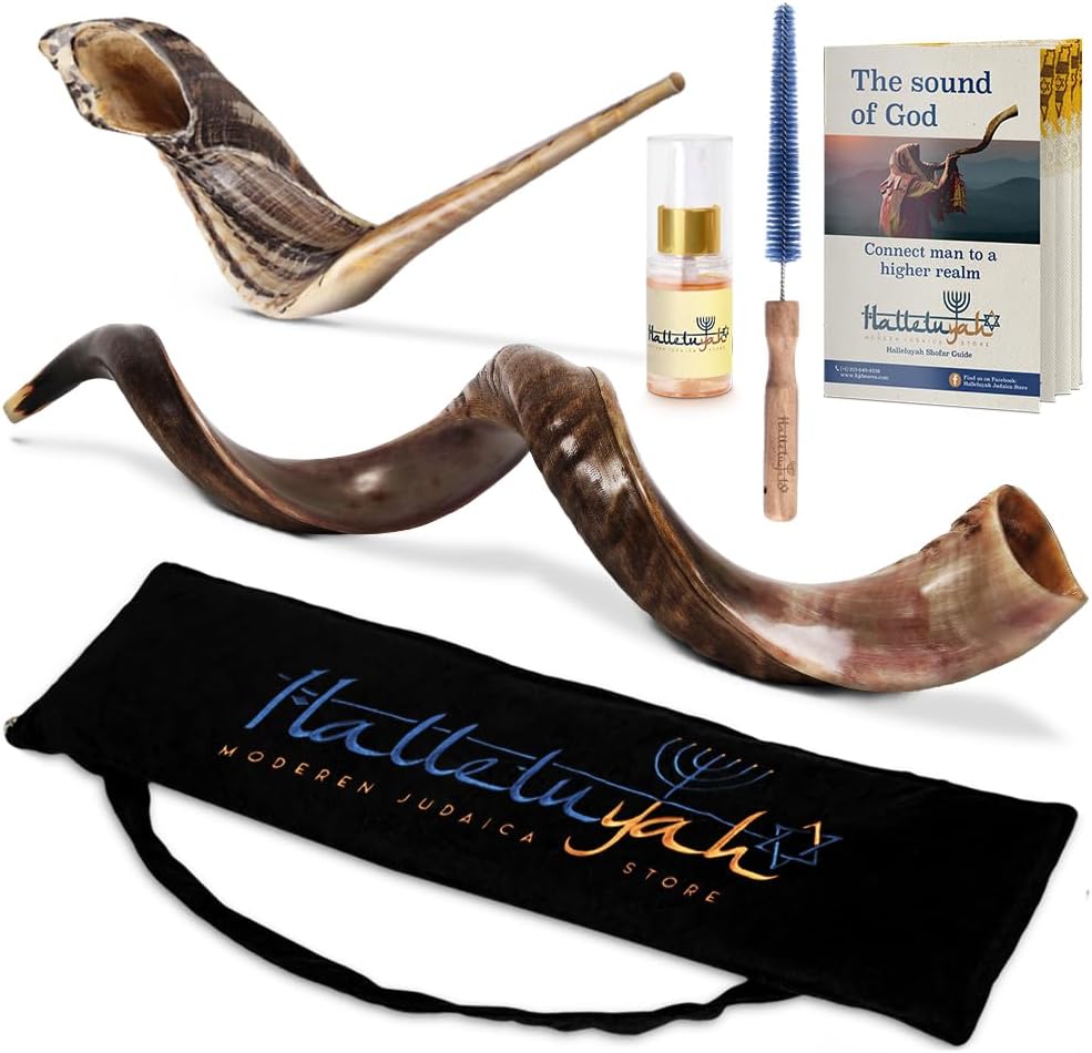HalleluYAH 32"-35" Yemenite kudu Shofar From Israel Plus Free Bonus Ram-Horn