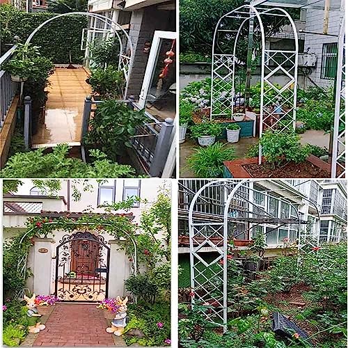 Support de plante grimpante en métal arche blanche pour tuteurer grand rosier - 8