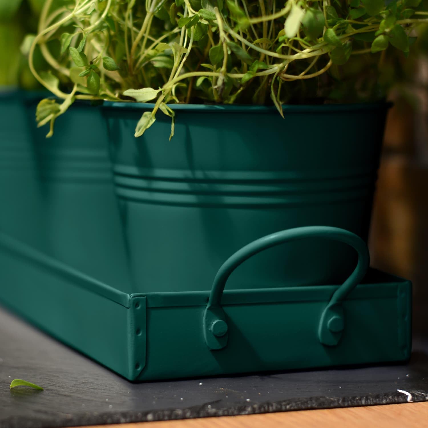 CKB LTD Lot de 3 pots de fleurs en métal pour herbes avec bac d'égouttement - Jardinière traditionnelle pour rebord de fenêtre d'intérieur - Jardinière colorée pour la cuisine - Cultivez vos propres