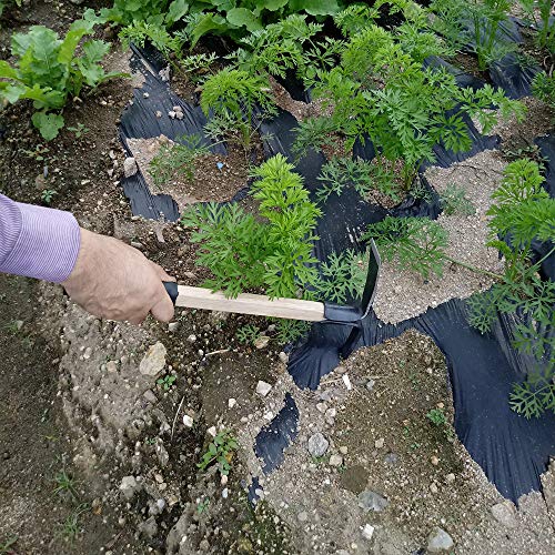 CLAIRLA Hand Mini Garden Hoes Dual Headed Weeding Tool - Carbon Steel Hoe/Tine Cultivator 3 Prongs Combo Garden Tools with Wood Handle (Pick Axes) - Thumbnail 7