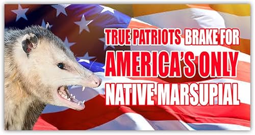 BAVAHA Calcomanía de vinilo con texto en inglés "I Brake for America's Only Native Marsupial" (Freno para el único marsupial nativo de América)