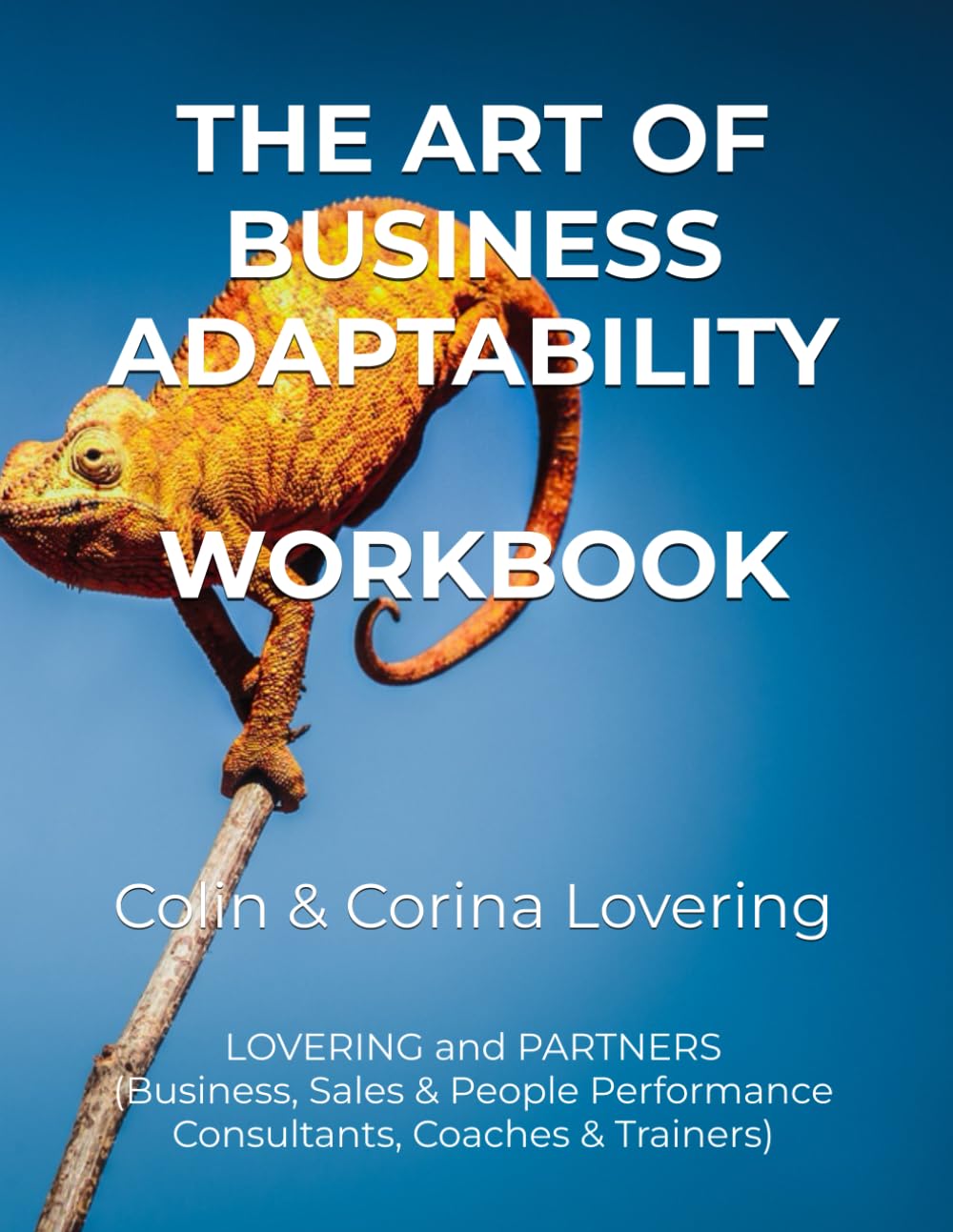THE ART OF BUSINESS ADAPTABILITY: Uncovering the secret of business relationships and communications