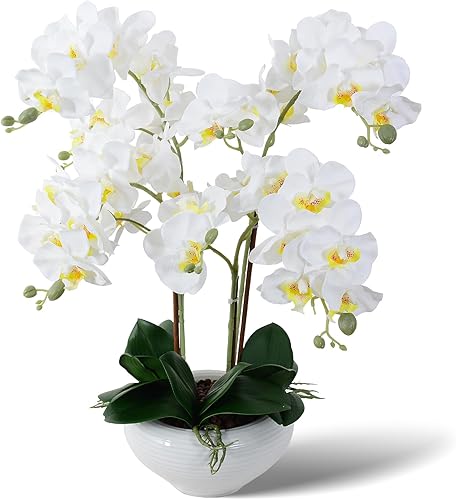 Ziwon Flores artificiales de orquídea en maceta de cerámica, orquídeas falaenopsis blancas falsas para centro de mesa, flores falsas realistas en