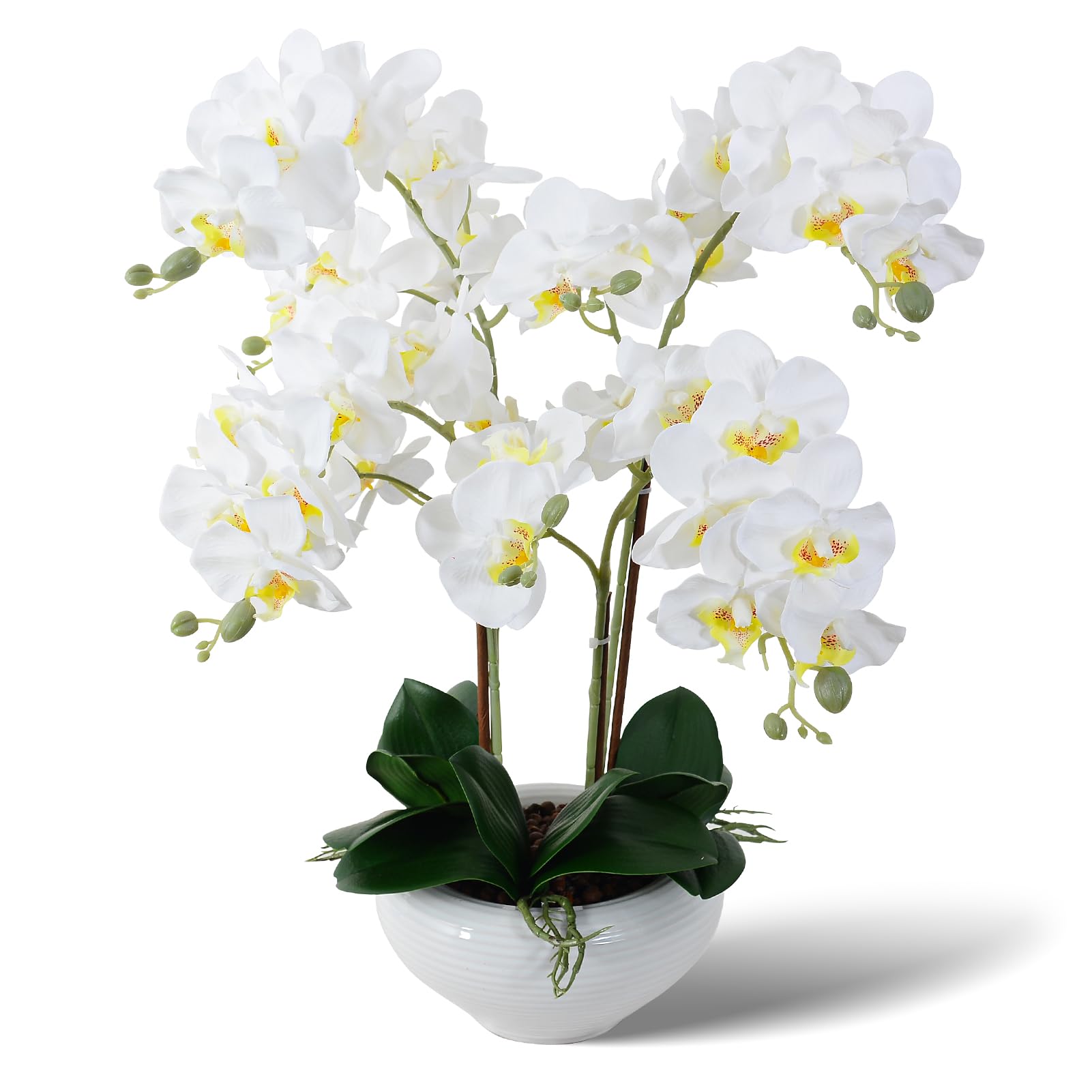 Ziwon Artificial Orchid Flowers Potted in Ceramic Pot, White Faux Phalaenopsis Orchids for Table Centerpiece, Realistic Fake Flower in vase for Home Office Decor Indoor