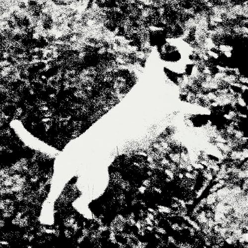 Edmondson feat. Mahyar Rahmantalab Vaghei