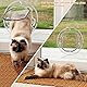 Smandy Katzenklappe Haustierklappe 4 Wege Verriegelung Haustiertüre Klare Klapptür, Robust, Wetterresistent und Einfache Installation, für Katzen und kleine Hunde