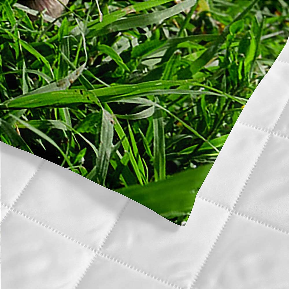 Trapuntino Copriletto Trapuntato Matrimoniale Singolo, Chickw11 3D Maiale Stampa Coperta Primaverile Estivo Trapunta Goffrato Coperta Leggera per Camera da Letto (Maiale d'erba,230x280cm)