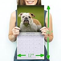 Vista 162 de Razas de Perros 2017