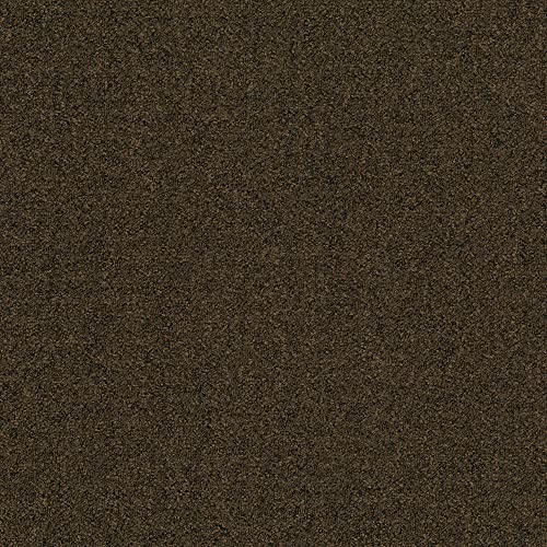 Image of Mohawk Advance 24 inch x 24 inch Berber (Loop pile), 0.11 inch Pile Height, Carpet Tile, Nylon Fiber, Tierra Color, (24 Tiles), (96 sqft /carton)