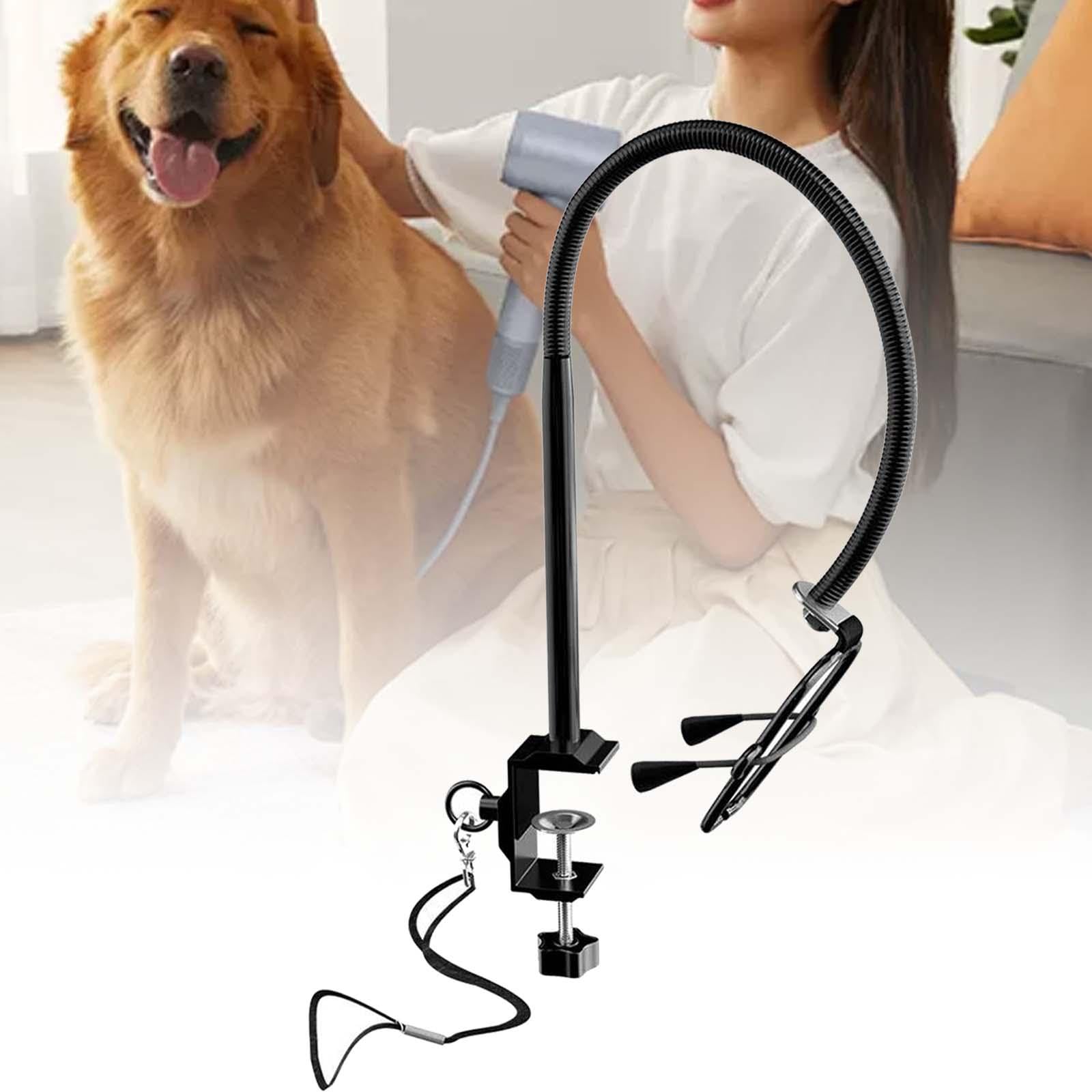 Support pour Sèche-Cheveux pour Animaux de Compagnie, Table de Toilettage, Support Réglable et Robuste pour Le Toilettage des Chiens et des Chats, Version régulière