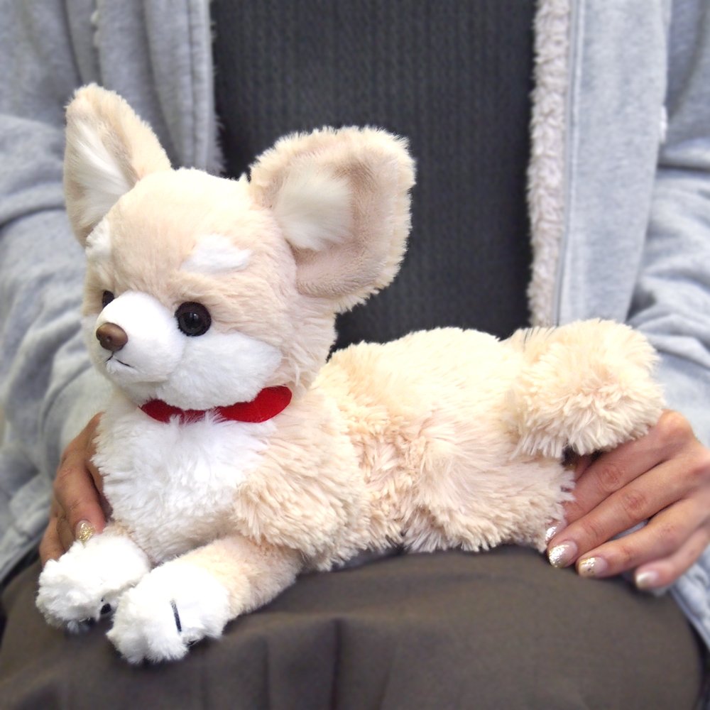 Amazon.co.jp: サンレモンひざわんこ チワワ クリーム ぬいぐるみP