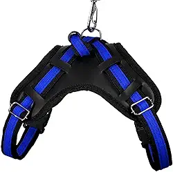 Coleira Peitoral Guia com Amortecedor Peiteira Para Cachorros Fortes(PRETO/AZUL,PP)