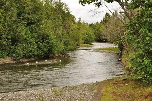 Anchorage Fishing Memories
