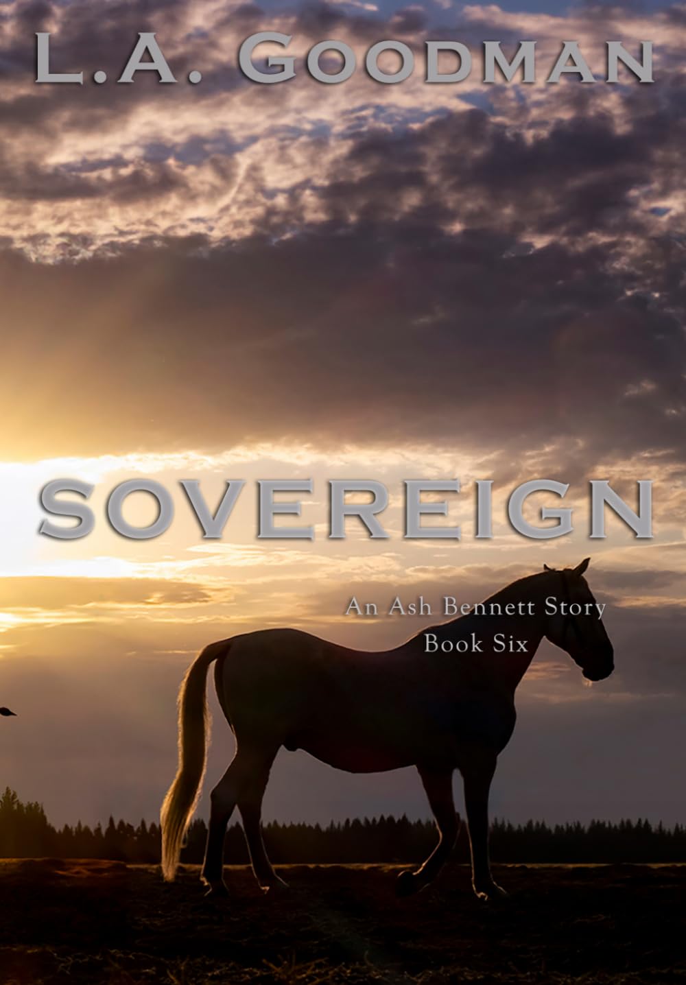 Sovereign (The Ash Bennett series)