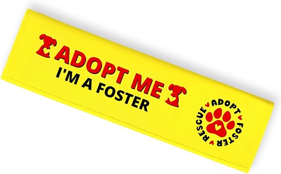 Bright Yellow Pet Dog Leash Wrap Hanging ID Patch Tag, Adopt Me Im a Foster Alert Eye-Catching Durable Pet Dog Leash Sign for Pet Dog Owners Lovers Pet Birthday Gift