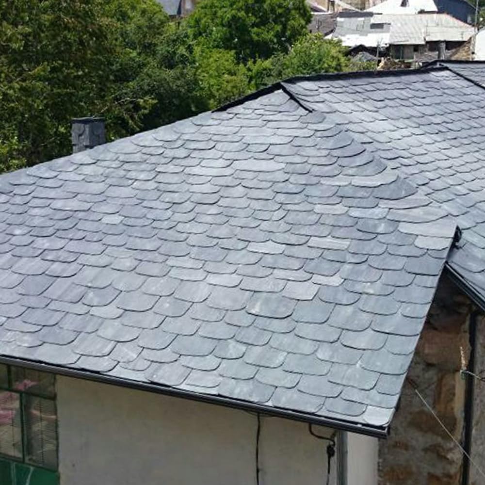 Sopgal Limpiador de Humedades para Tejados, Fachadas y Suelos 25L | Limpia en profundidad manchas y restos de humedad y la suciedad acumulada en tejados y paredes antes de pintar.