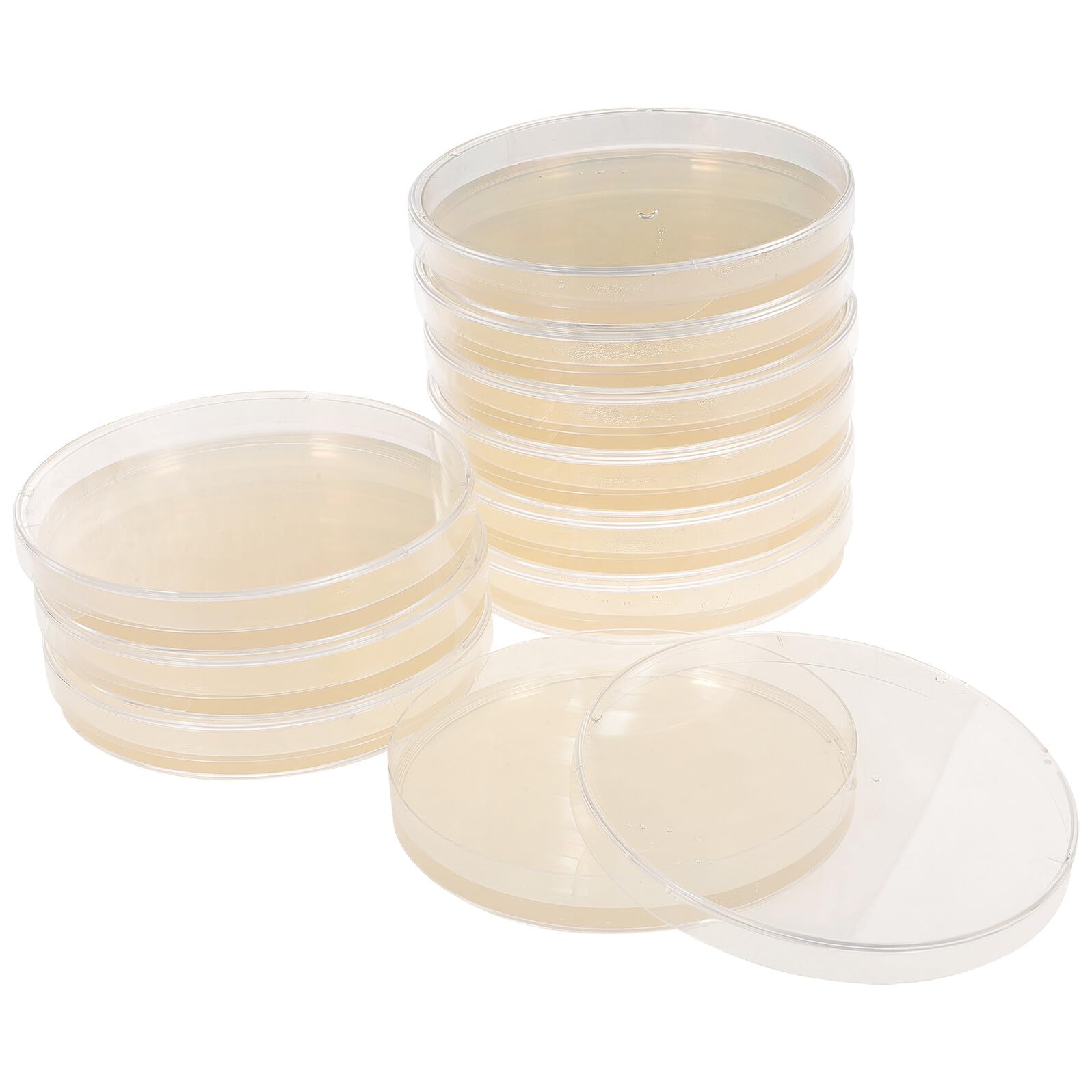 10 piezas Unidades Placas Agar Portátiles Nutrición Microbiana Precargadas para Proyectos Escolares Cultivos Tejidos Laboratorio